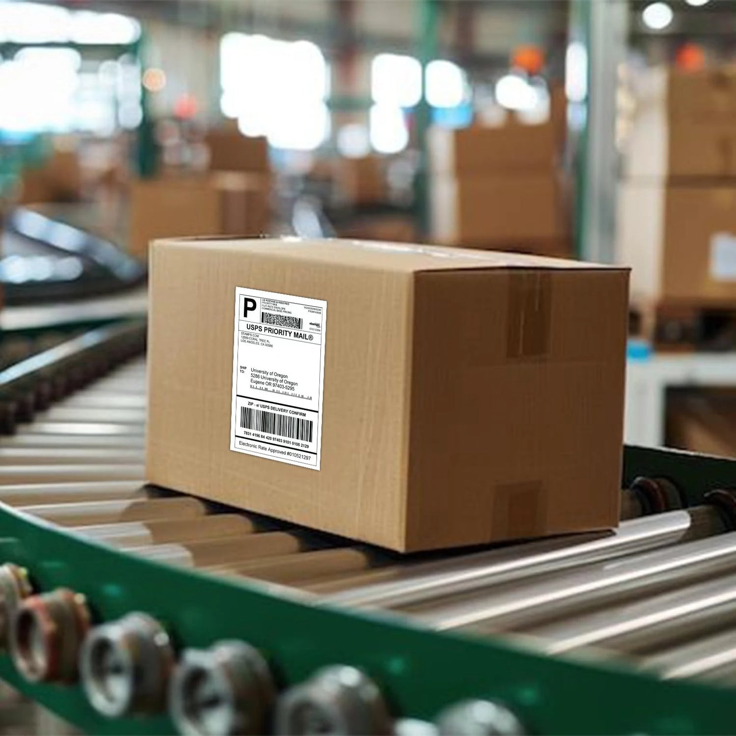 4"x6" inch Thermal Label Paper 100x150mm 100/500PCS For Thermal Shipping Labels DHL UPS Express Barcode For 9220/9210/246S/D200