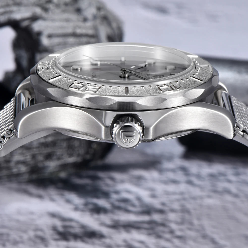 PAGANI DESIGN 007 Mens Watches Luxury Automatic Watch For Men Mechanical Wristwatch AR Sapphire Mirror Super Luminous Waterproof